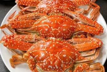 꽃개찜(ghẹ hấp 1kg) 清蒸花蟹